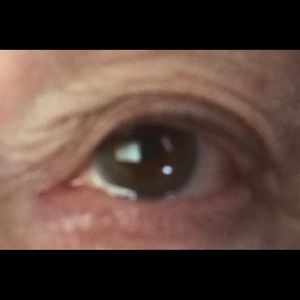 Meet your Posher, Babs